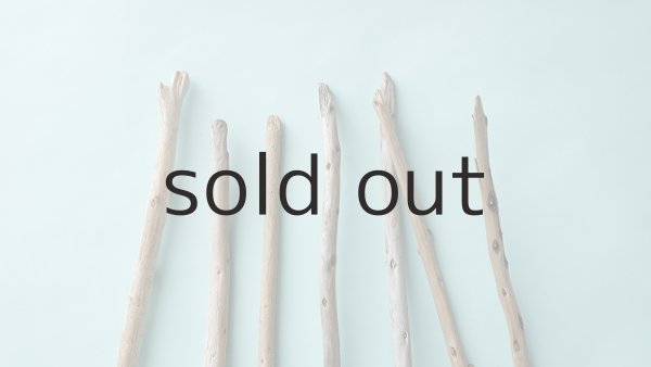 画像6: 棒流木セット (6)