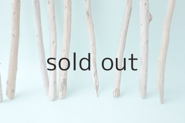 画像4: 棒流木セット (4)