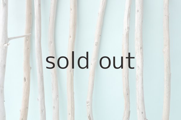 画像5: 棒流木セット (5)