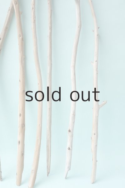 画像3: 棒流木セット (3)