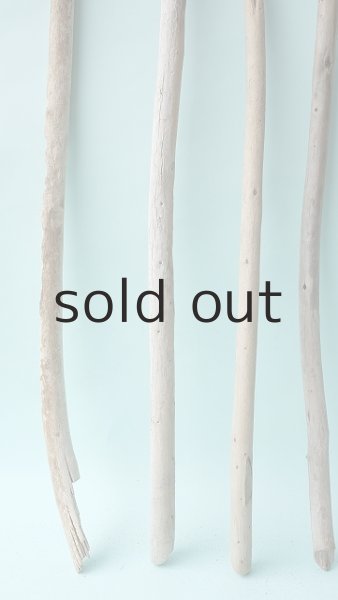 画像2: 棒流木セット (2)