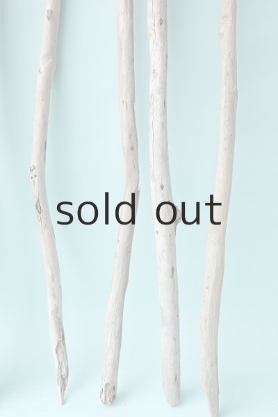 画像3: 棒流木セット (3)