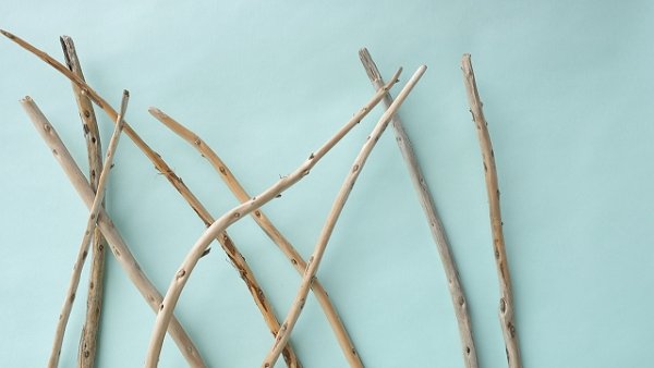 画像4: 棒流木セット (4)