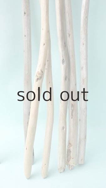 画像7: 棒流木セット (7)