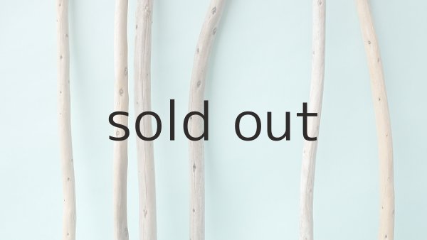 画像3: 棒流木セット (3)