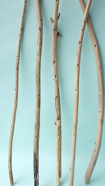 画像5: 棒流木セット (5)