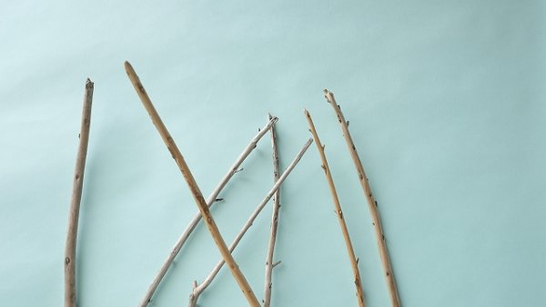 画像4: 棒流木セット (4)