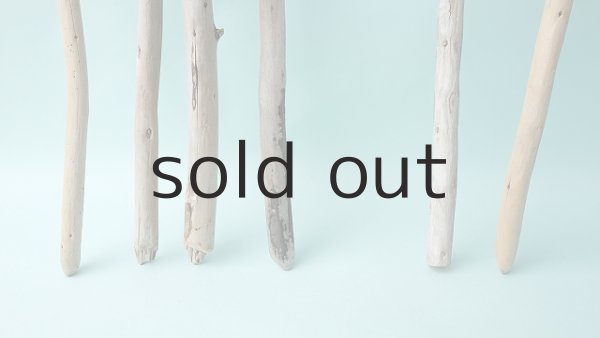 画像2: 棒流木セット (2)