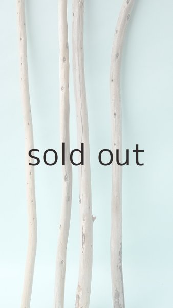 画像5: 棒流木セット (5)