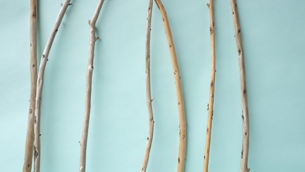 画像3: 棒流木セット (3)