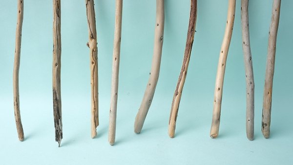 画像2: 棒流木セット (2)