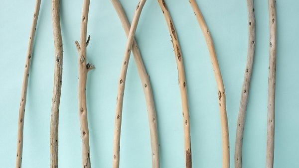 画像3: 棒流木セット (3)