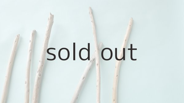 画像4: 棒流木セット (4)