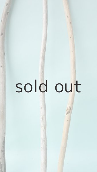 画像6: 棒流木セット (6)