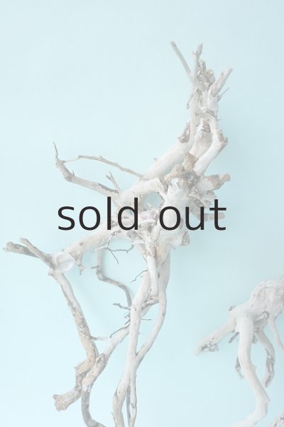 画像3: 流木根セット (3)