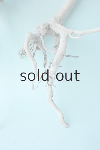 画像4: 流木根セット (4)