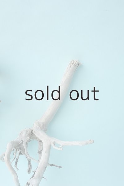 画像5: 流木根セット (5)