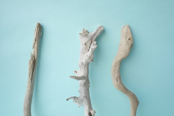 画像5: 流木根セット (5)