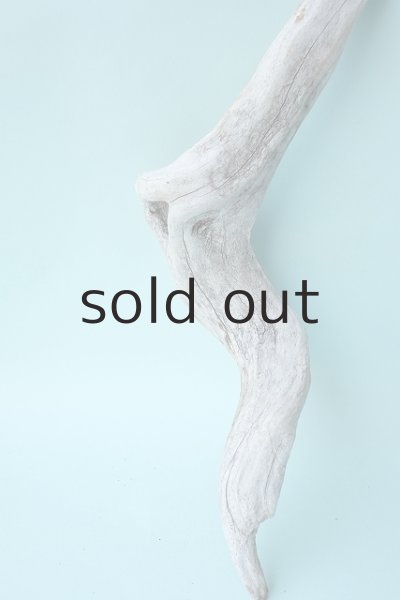 画像2: 流木根セット (2)