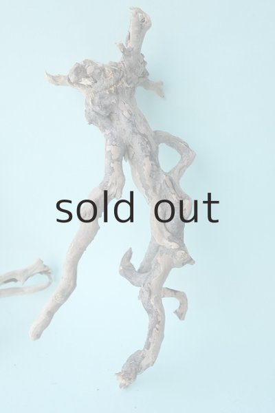 画像3: ミニ流木根セット (3)