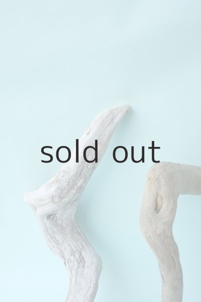 画像3: 流木根セット (3)