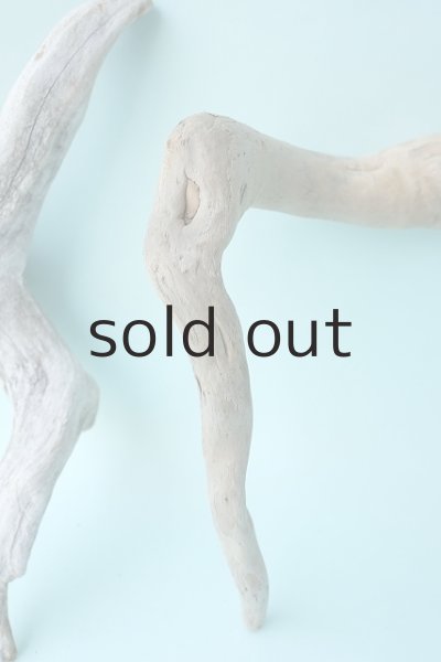 画像4: 流木根セット (4)