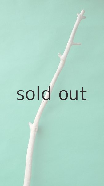 画像4: 枝流木 (4)