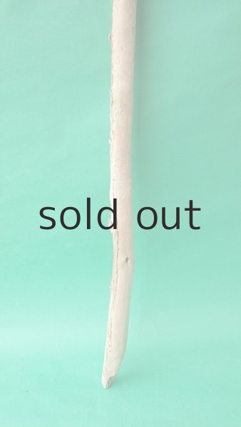 画像2: 棒流木 (2)