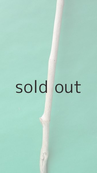 画像3: 枝流木 (3)