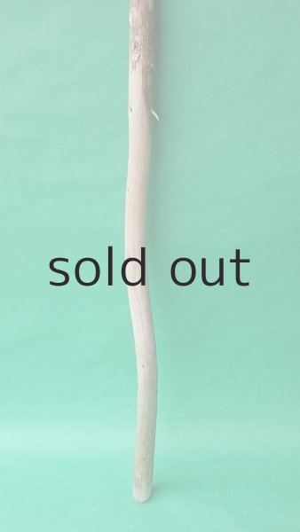 画像2: 棒流木 (2)