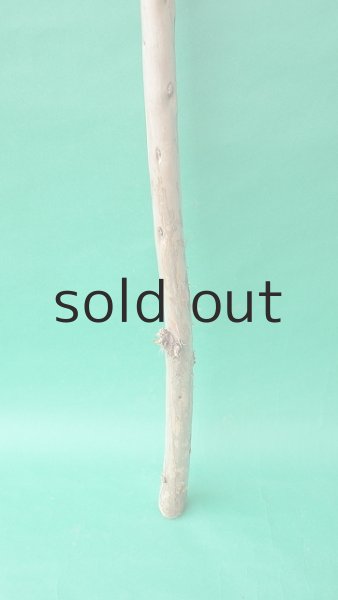 画像2: 棒流木 (2)