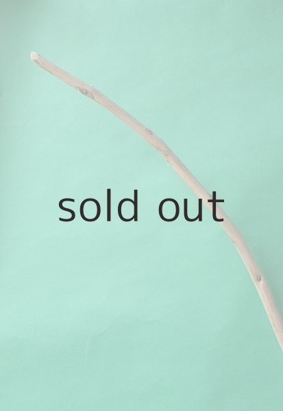 画像4: 棒流木 (4)