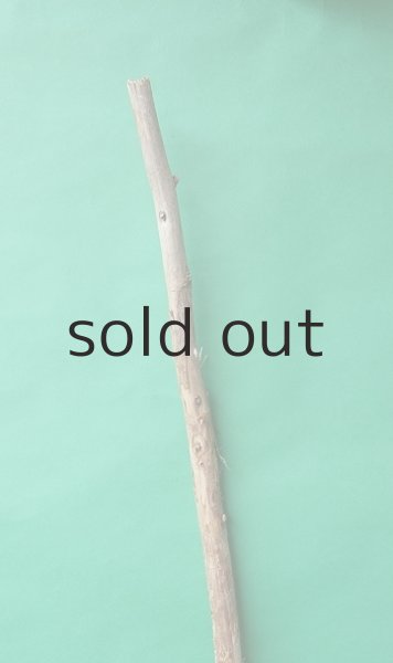 画像4: 棒流木 (4)