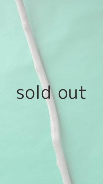 画像3: 枝流木 (3)