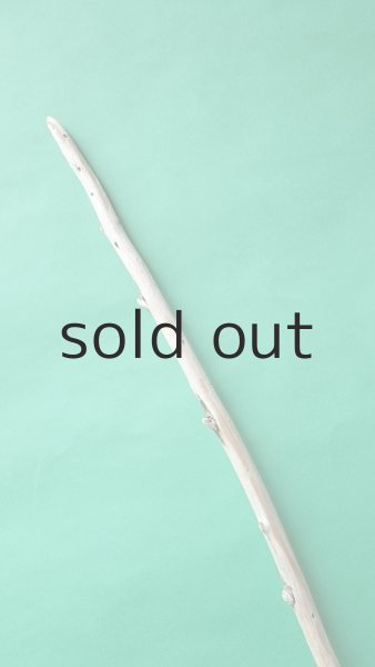 画像4: 棒流木 (4)