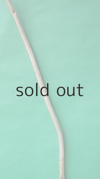 画像3: 棒流木 (3)