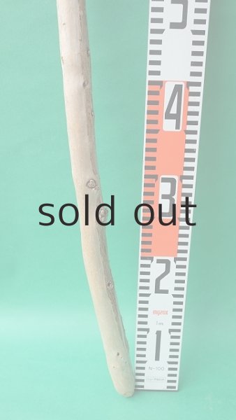 画像6: 棒流木 (6)