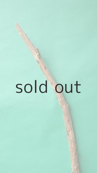 画像4: 棒流木 (4)