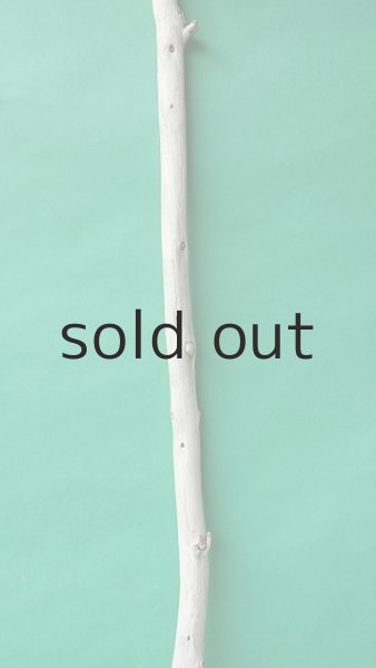 画像3: 棒流木 (3)