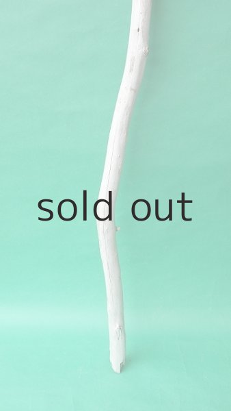 画像2: 棒流木 (2)