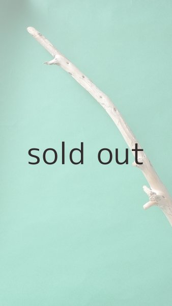 画像5: 棒流木 (5)