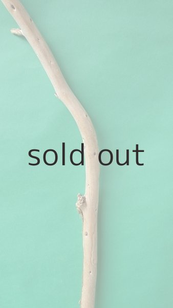 画像3: 棒流木 (3)