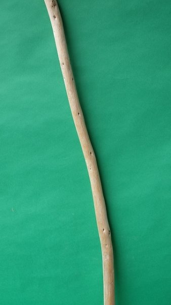 画像3: 棒流木 (3)