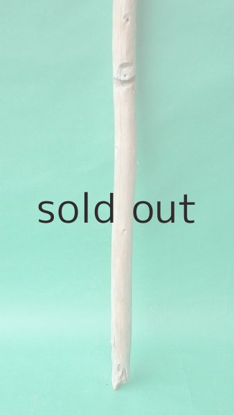 画像2: 棒流木 (2)