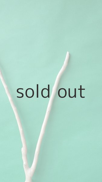 画像5: 枝流木 (5)