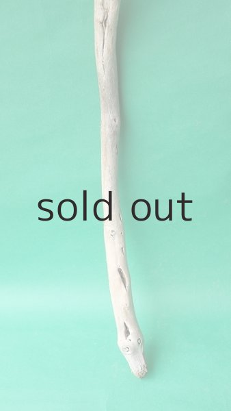 画像2: 枝流木 (2)