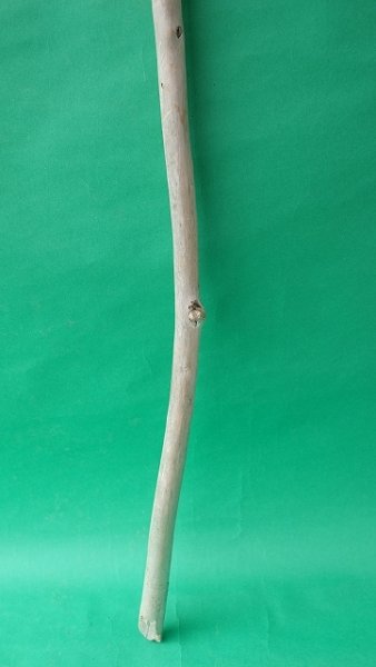 画像2: 棒流木 (2)