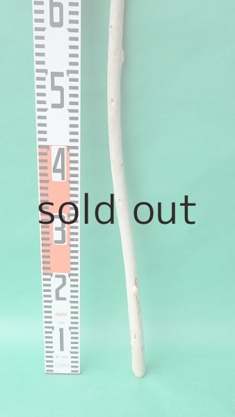 画像5: 棒流木 (5)