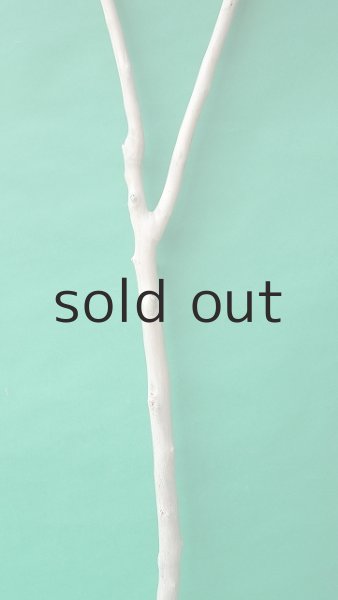 画像3: 枝流木 (3)