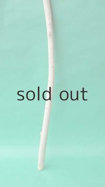 画像2: 棒流木 (2)